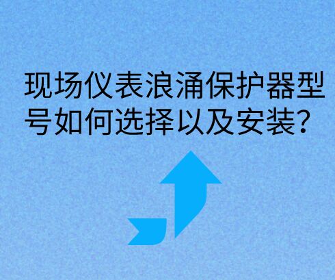 現(xiàn)場儀表浪涌保護(hù)器如何選擇型號以及安裝？
