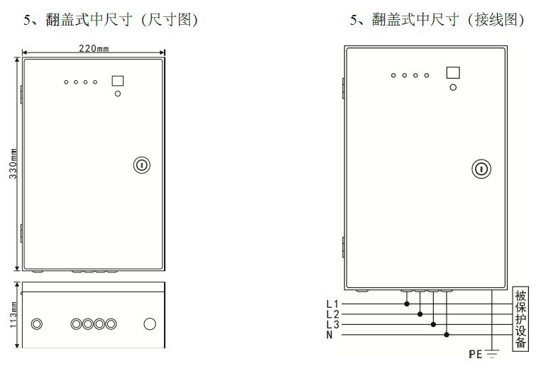 二三級電源避雷箱（T2類、箱式結構、帶雷電計數狀態(tài)指示）